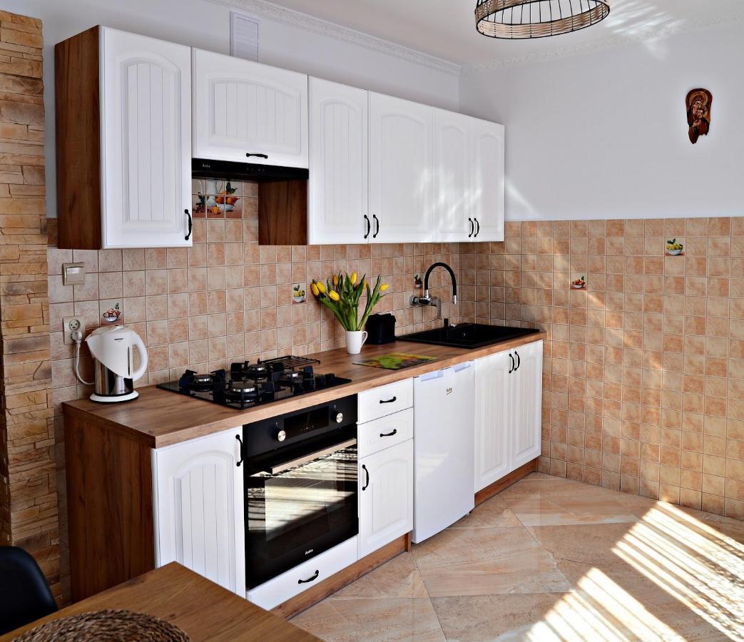 Apartament Z Tarasem I Pokoje Klimatyzowane -Drozdowka Solina سولينا المظهر الخارجي الصورة