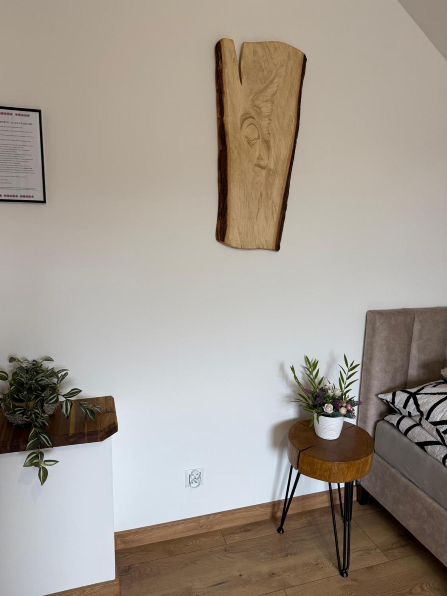 Apartament Z Tarasem I Pokoje Klimatyzowane -Drozdowka Solina سولينا المظهر الخارجي الصورة